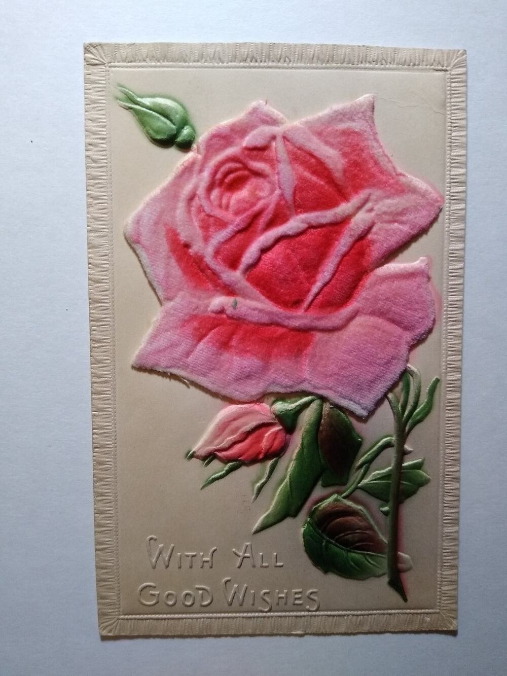 Embossed Pink Rose Postcard "With All Good Wishes" Flocked Velvet Finish St